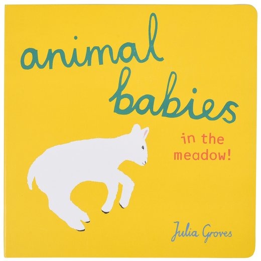 Animal Babies in the Meadow Board Book