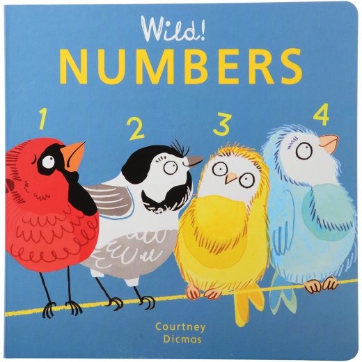Wild! Math Concepts Book Set