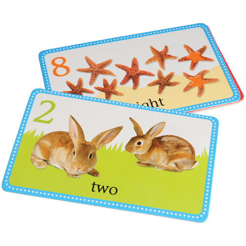 My First Touch & Feel Cards / Numbers & Counting