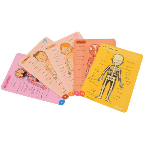 Janod Body Magnet Bodymagnet Educational Human Body Anatomy Game NEW SEALED