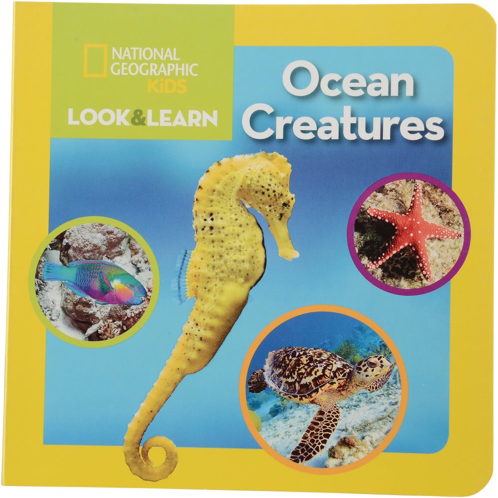 National Geographic Animals Board Book- Ocean Creatures