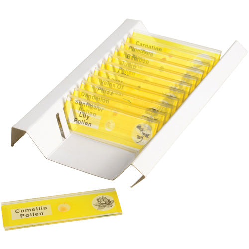 Prepared Slide Kit - Plants for use with Microscope