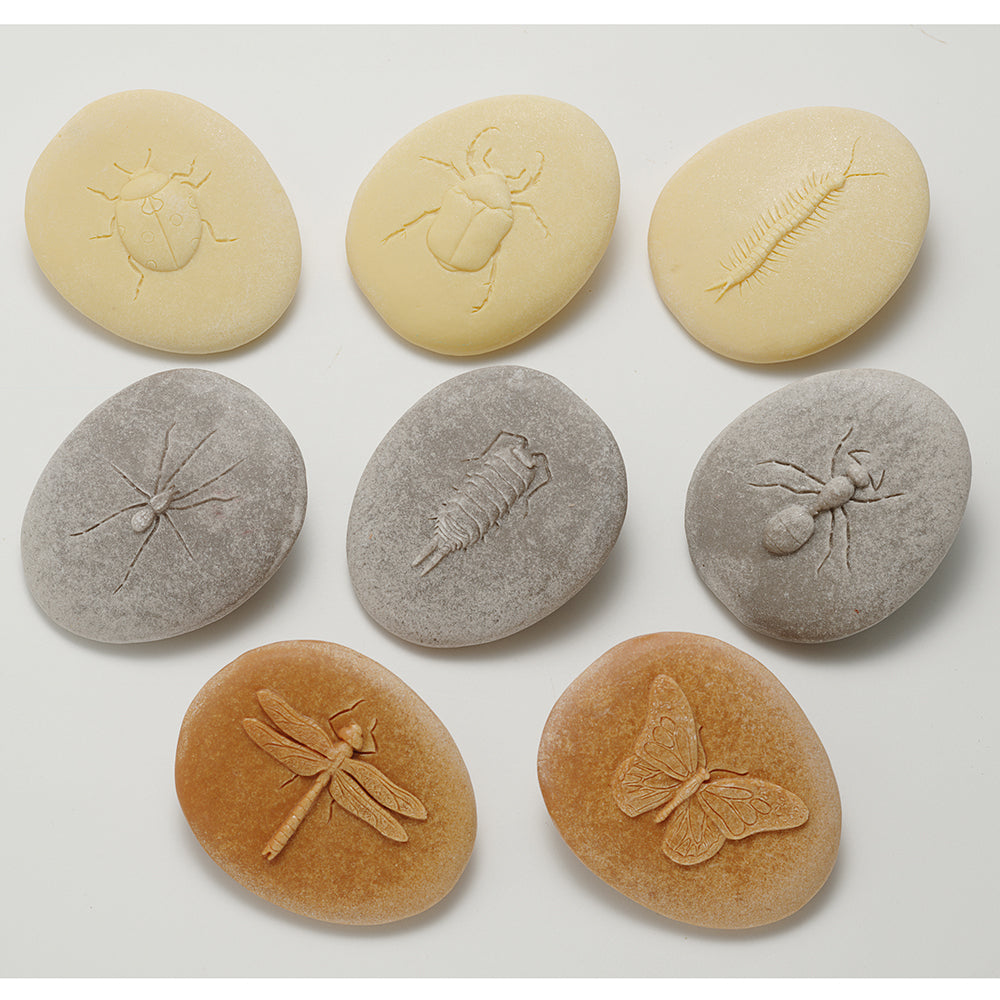 Set of 8 Insect Sensory Stones