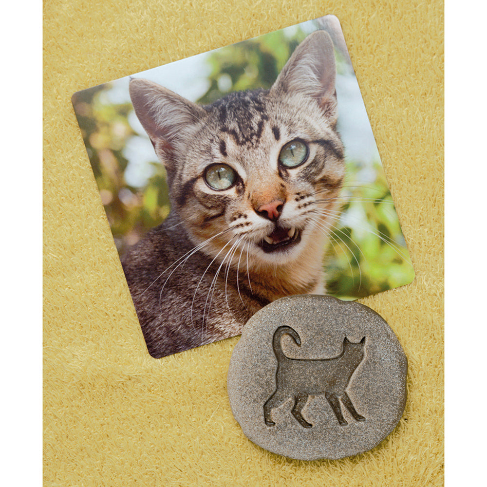 Cat Animal Sensory Stone