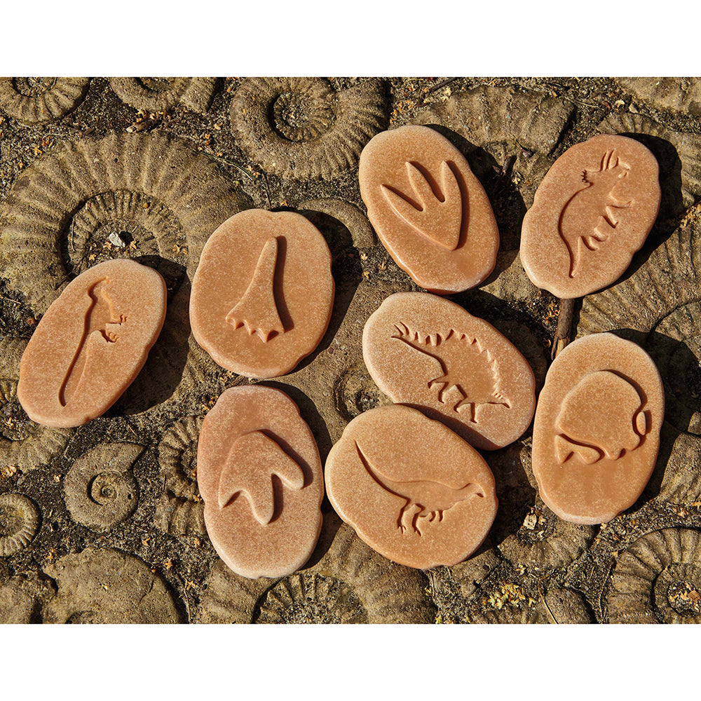 Yellow Door® Let's Investigate Dinosaur Footprints Double-Sided Animal Stones - 8 PC