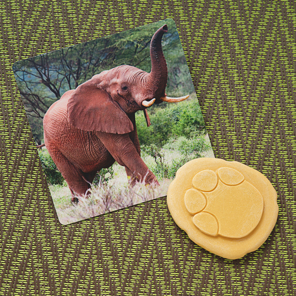 Yellow Door® Let's Investigate Safari Footprints Double-Sided Animal Stones - 8 PC